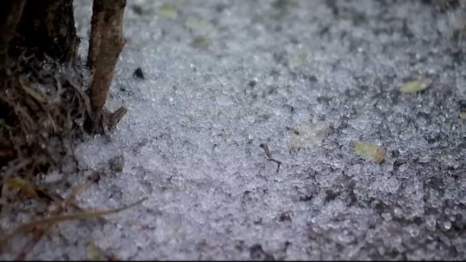 Harris County officials say preparedness paid off during 2026 winter ...