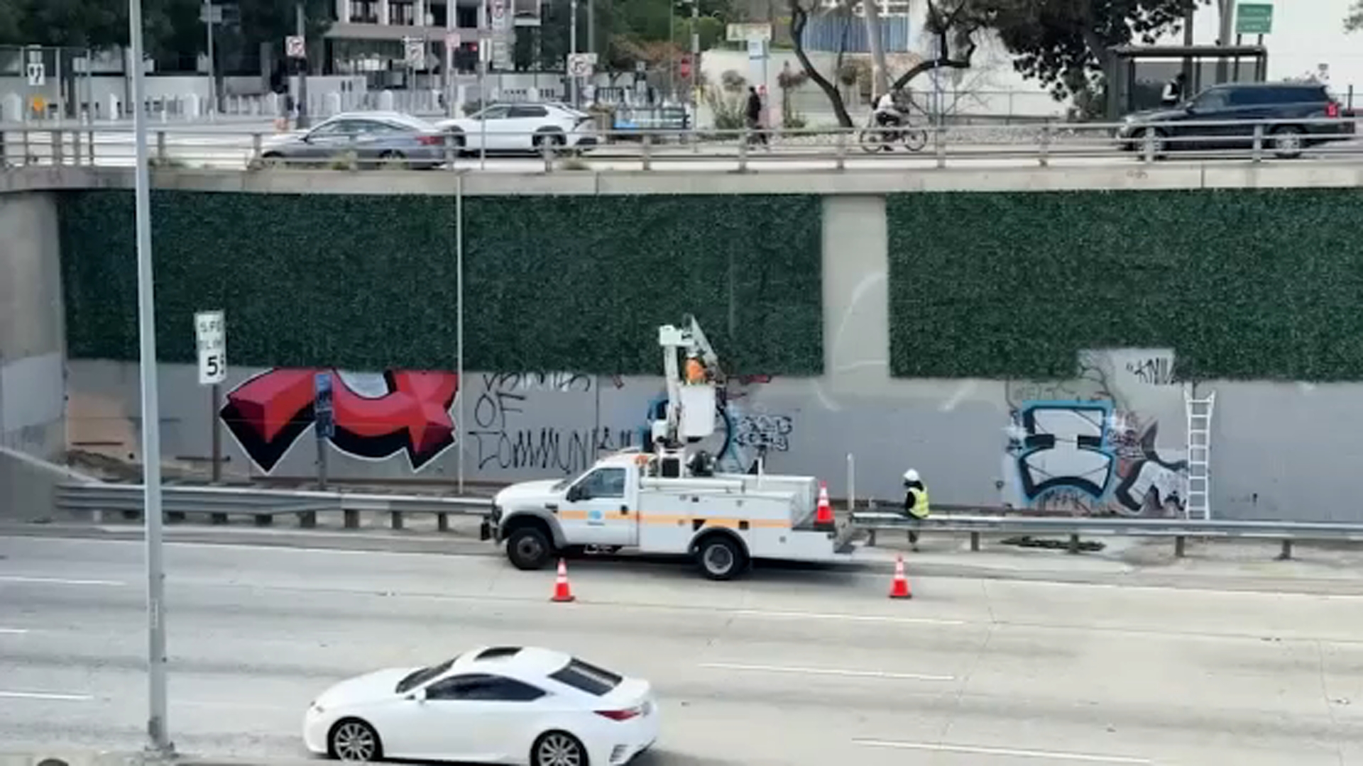 Taggers target 'graffiti-proof' ivy installed along 101 Freeway ahead of FIFA World Cup