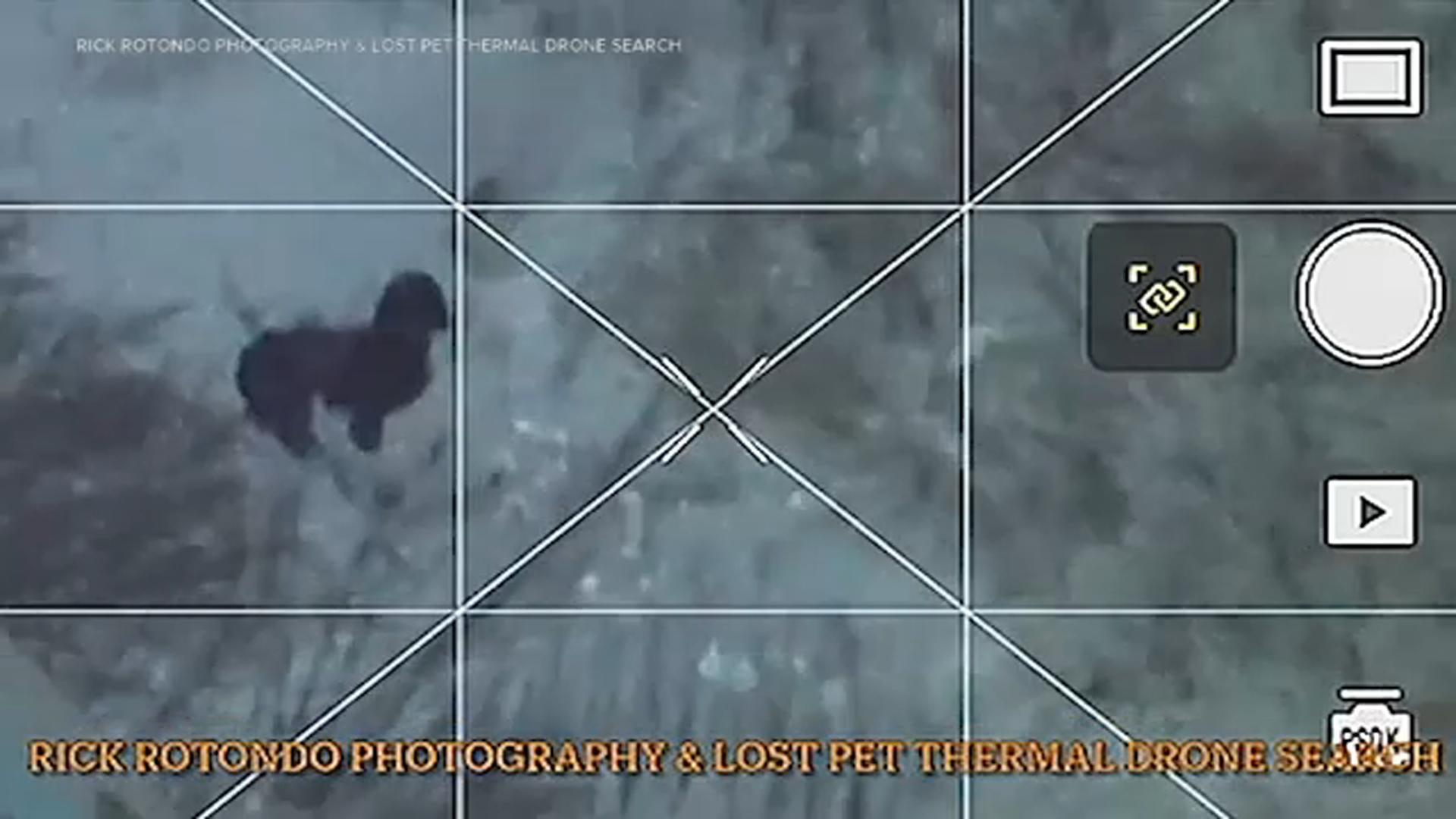 Image from Rick Rotondo Photography and Lost Pet Thermal Drone Search shows the moment a missing dog named Benji was found in Philadelphia.