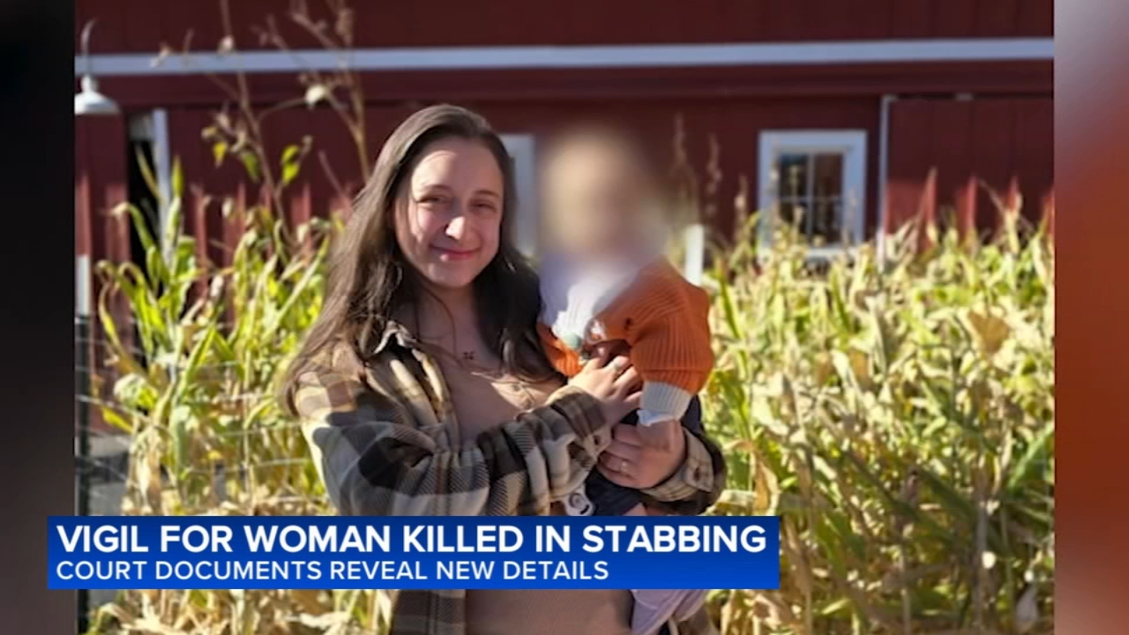 Eliza Morales, pregnant woman killed in Downers Grove, suffered 70 stab wounds; Nedas Revuckas charged: court docs