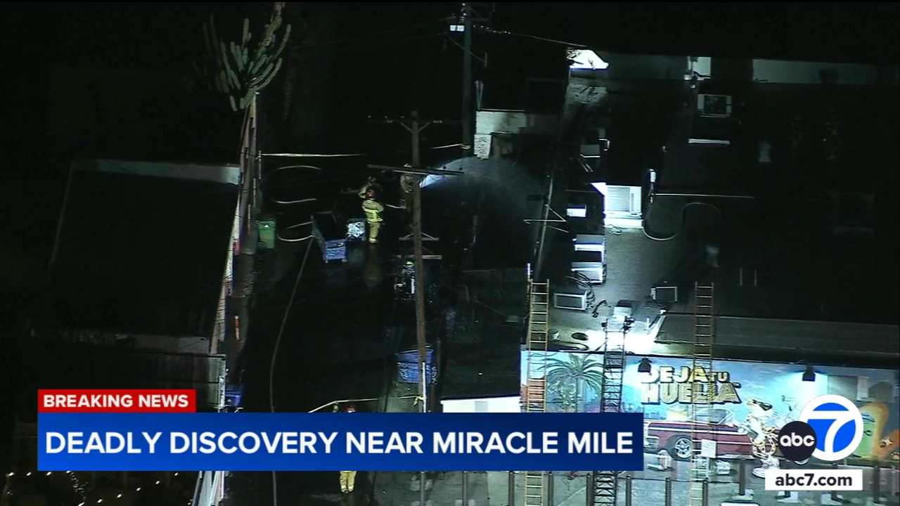 Algorand urgent breaking news (81) 사진