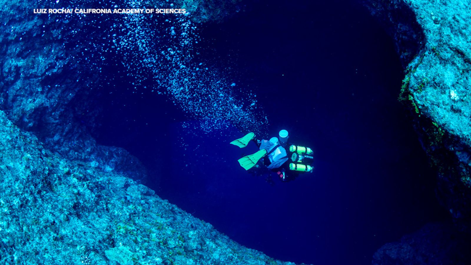 California Academy of Sciences team finds ocean warming reaching deeper than expected