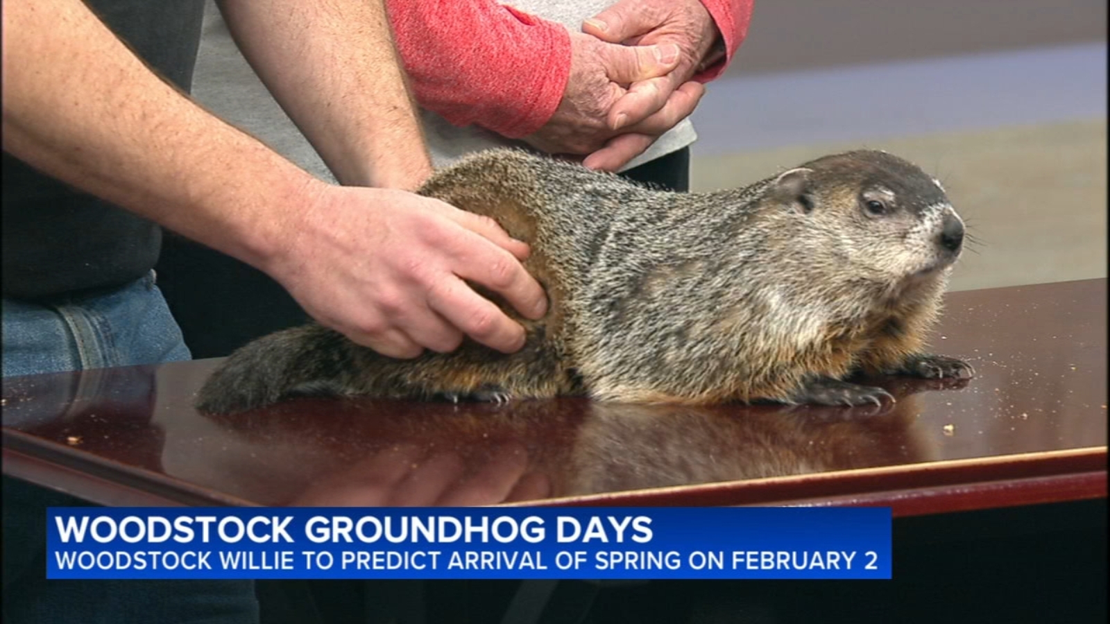 Groundhog Day 2026: Will Woodstock Willie see his shadow on Groundhog Day?