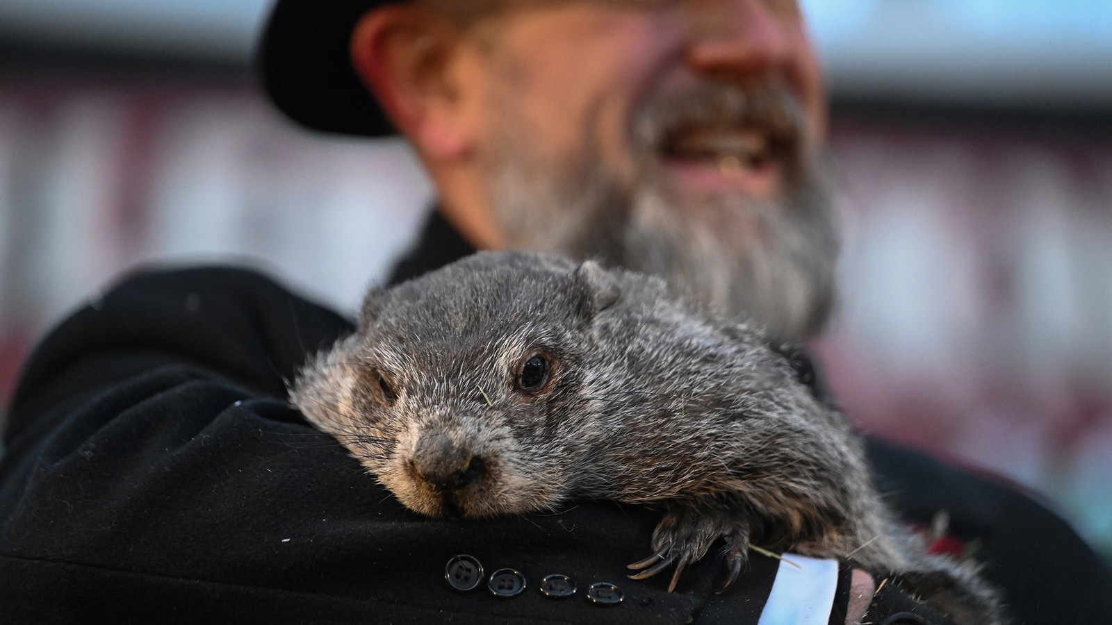 Punxsutawney Phil is said to have seen his shadow, forecasting 6 more weeks of wintry weather
