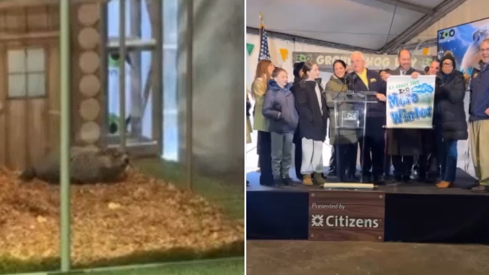 NYC's Staten Island Chuck sees his shadow, predicting 6 more weeks of winter