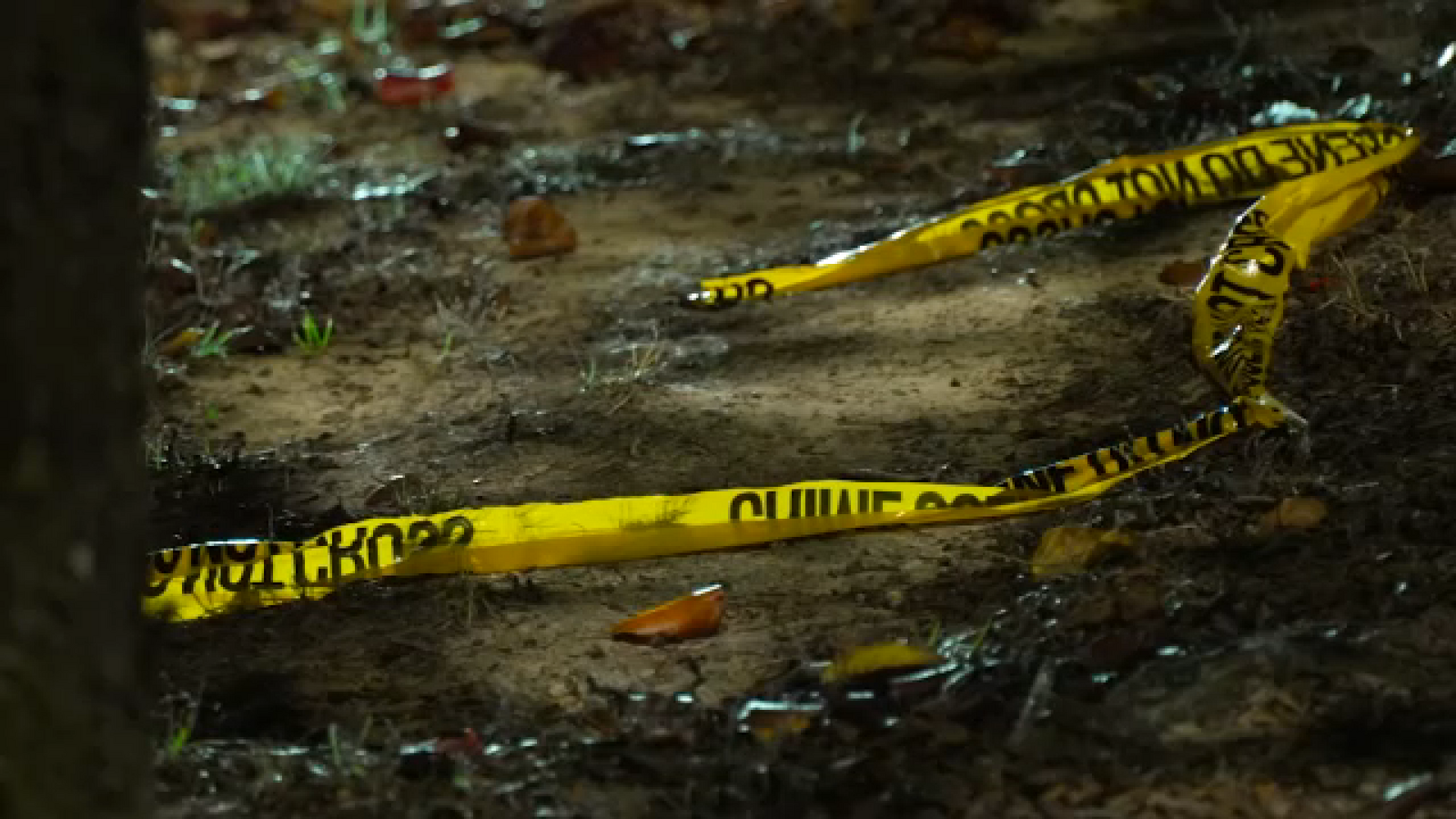 Houston police SWAT officer killed after crashing city vehicle in NW Harris County, authorities say