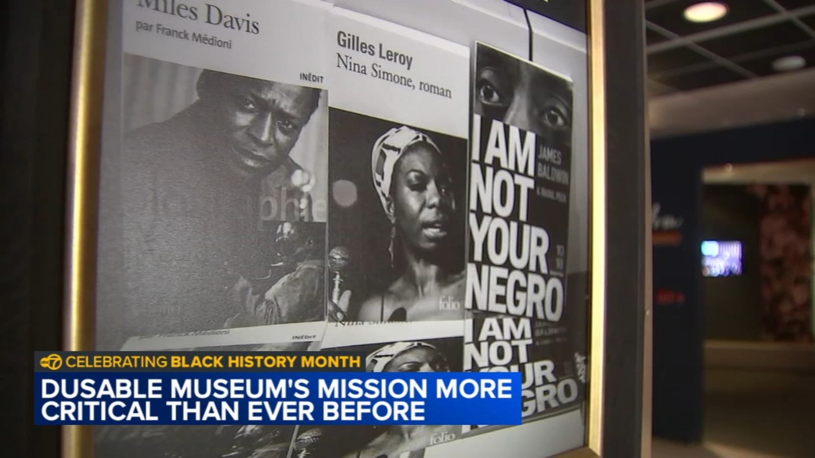 Chicago's DuSable museum has special schedule for Black History Month