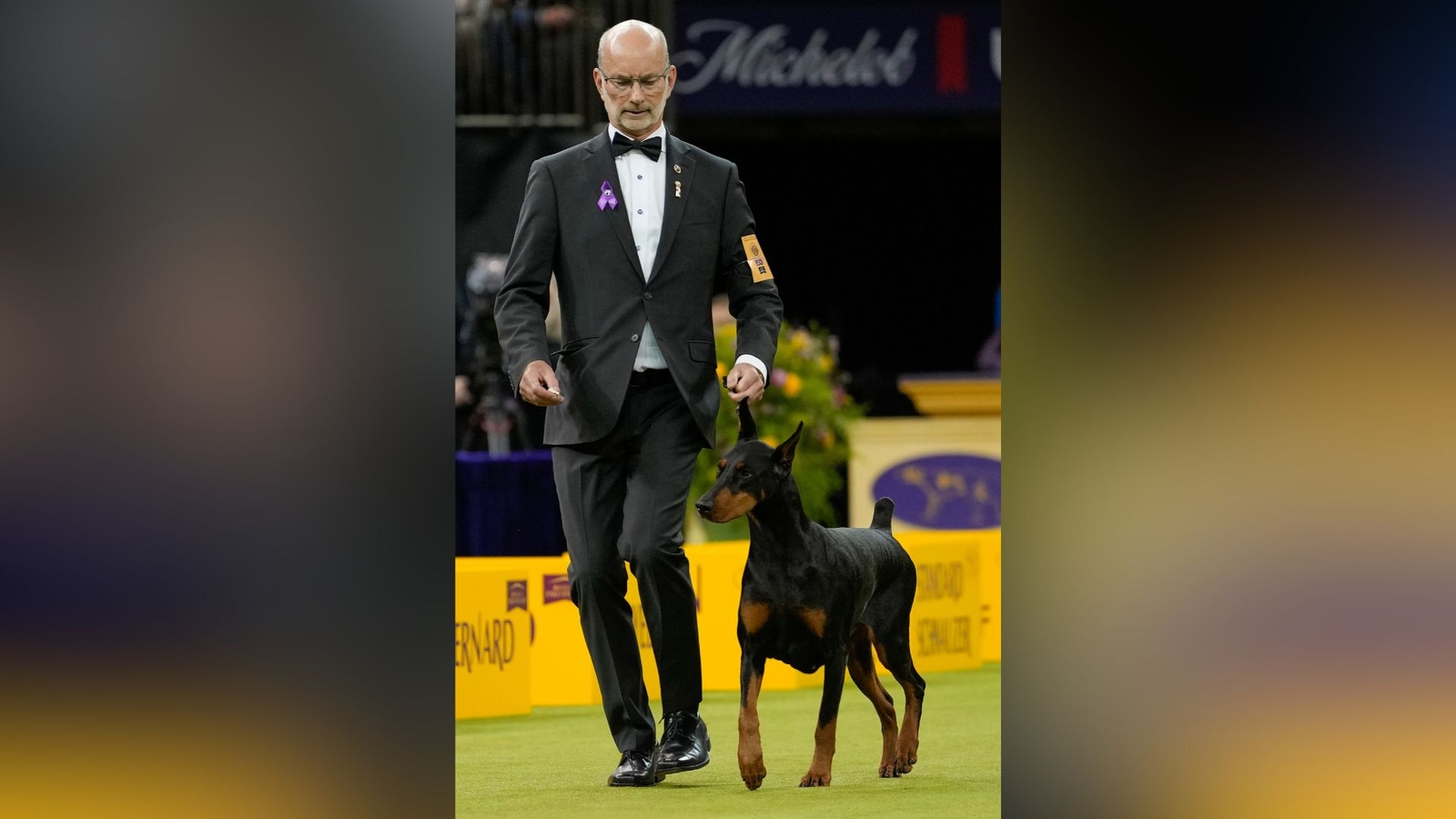 Westminster Kennel Club Dog Show: Doberman pinscher named Penny wins best in show