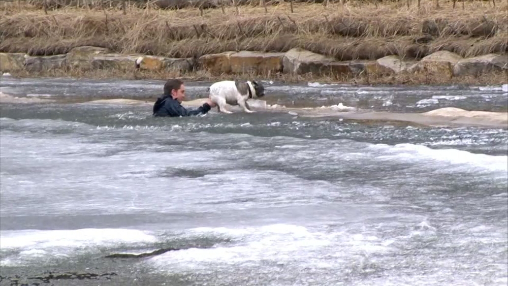 Man jumps into frozen pond to rescue dog