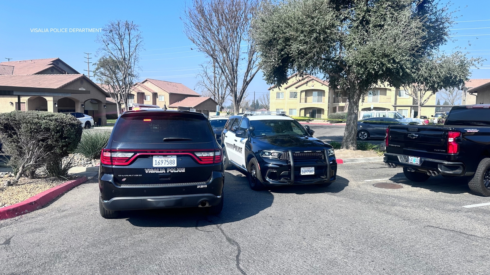 74-year-old woman dies after hit-and-run suspect stabs her after fleeing accident