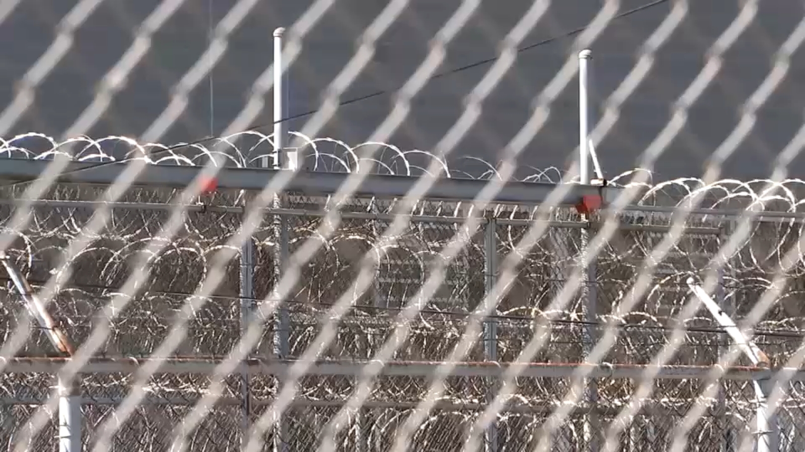 Tri-State immigration: More people detained during routine government check-ins