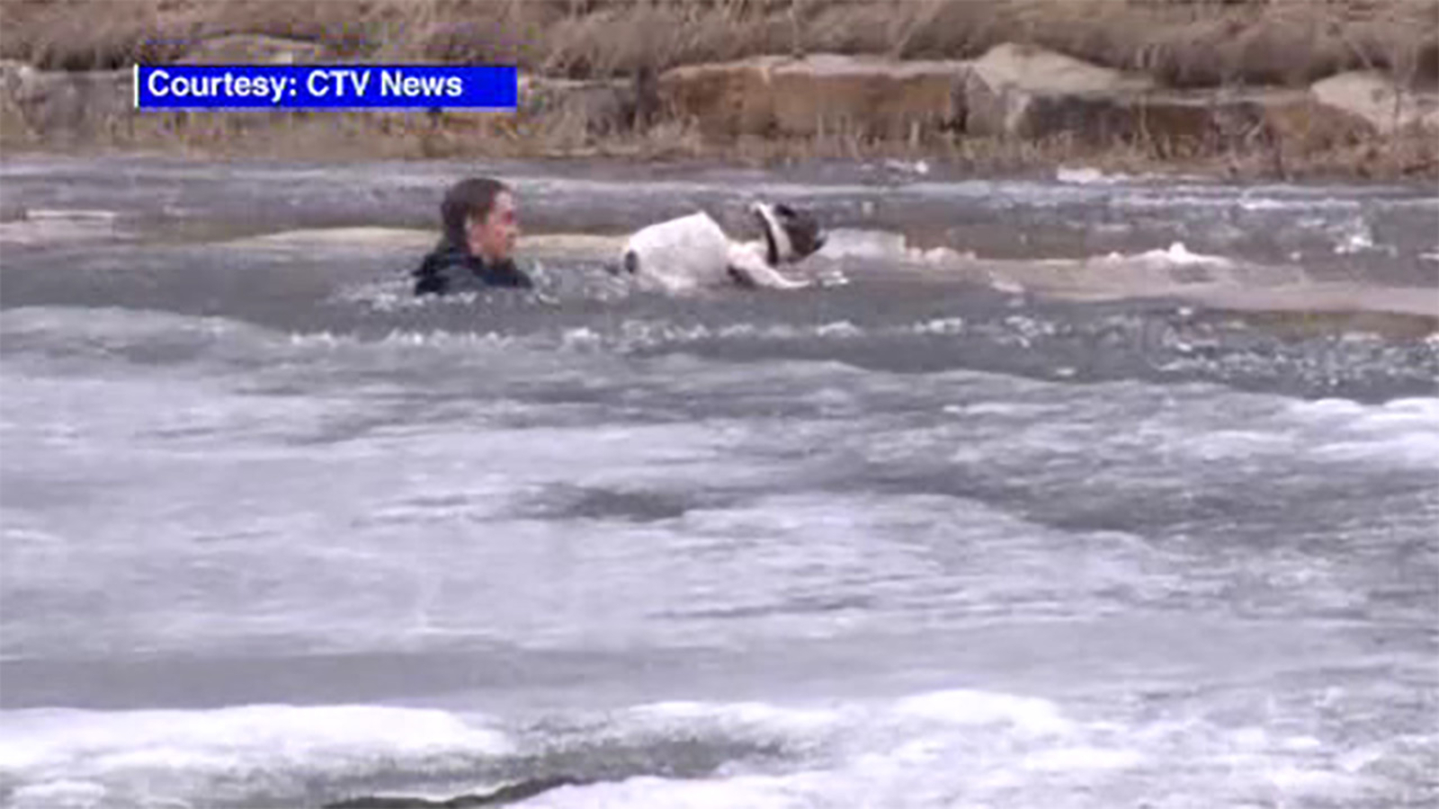 Man plunges into freezing pond to rescue dog who fell through ice in
