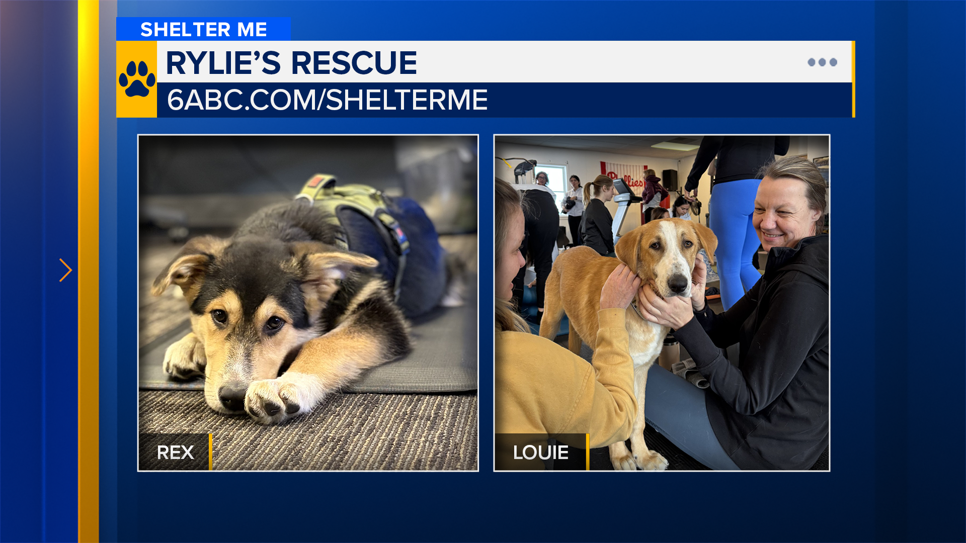 Shelter Me: Meet Rex and Louie from Rylie's Rescue!