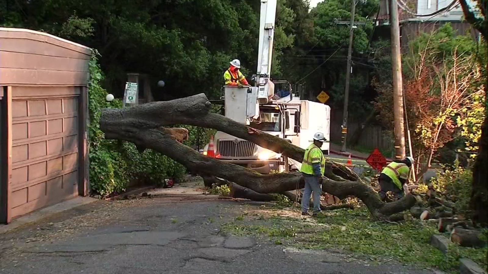 PG&E works to restore power after tree falls in Berkeley - ABC7 San ...