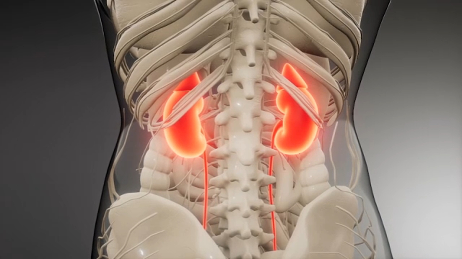 UCI Health launches promising clinical trial using CAR T-cell therapy to treat lupus