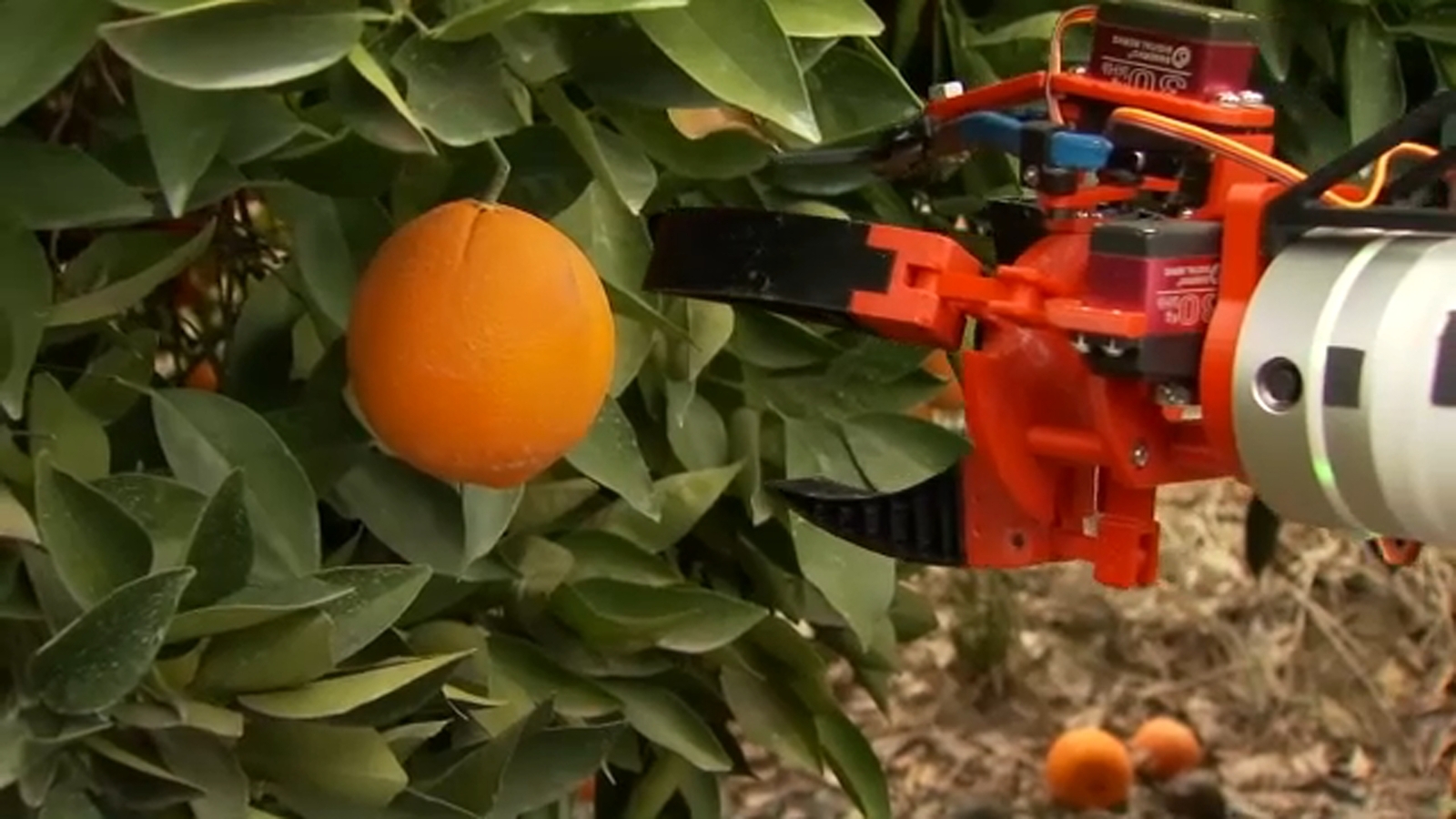 Ag Watch: Robotic Harvester