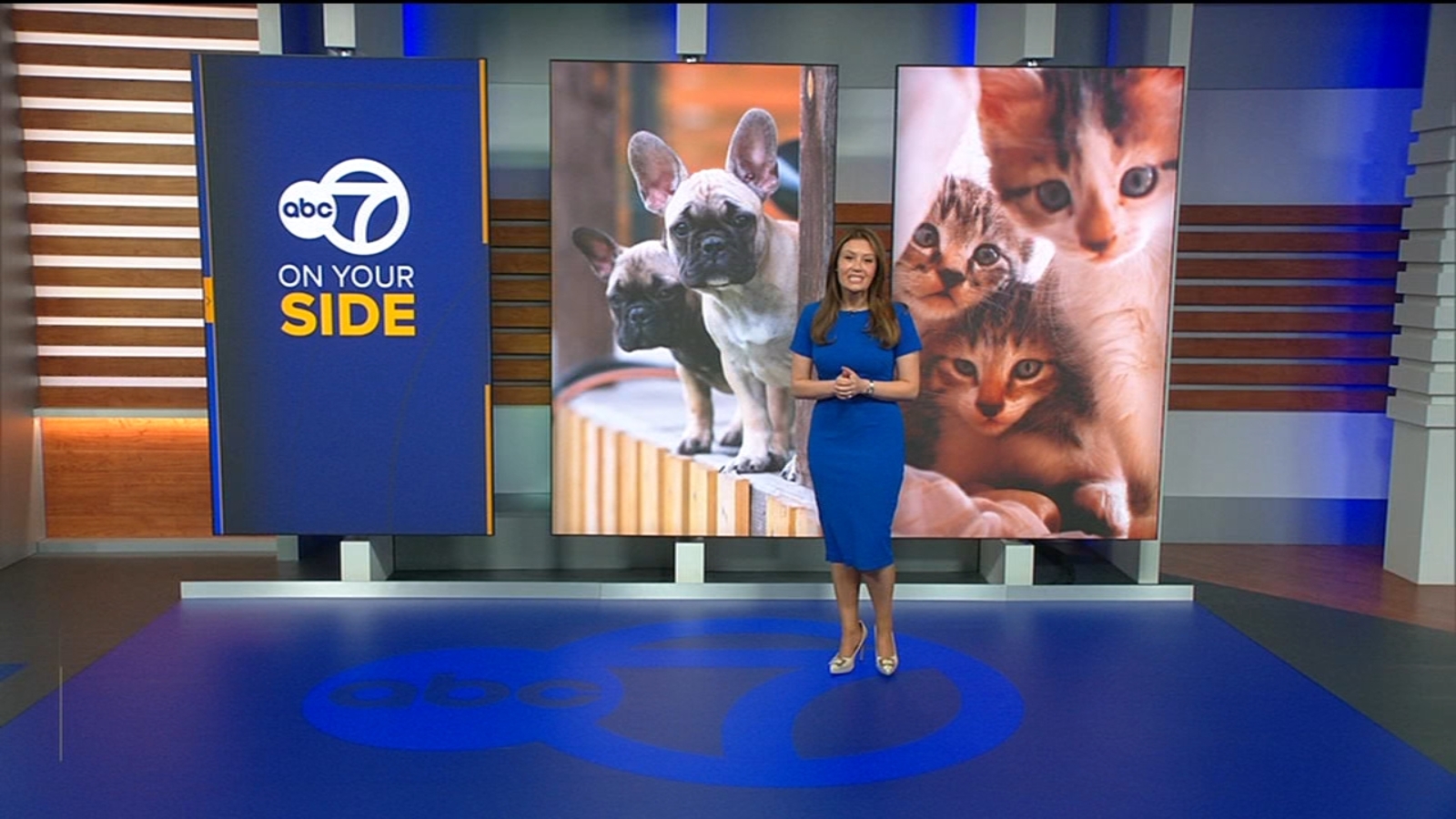 80% of online ads for pets may be fake, says BBB. Here's how to protect yourself