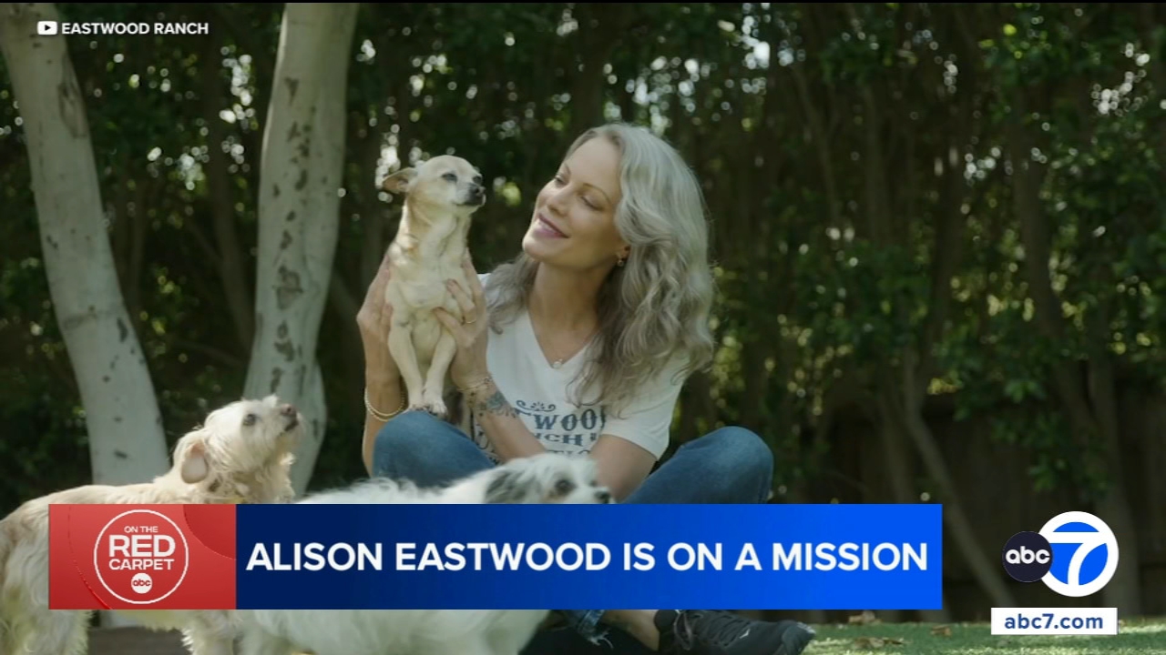 Alison Eastwood hosting Valentine's Day pet adoption event at Eastwood Ranch Foundation in Agoura Hills