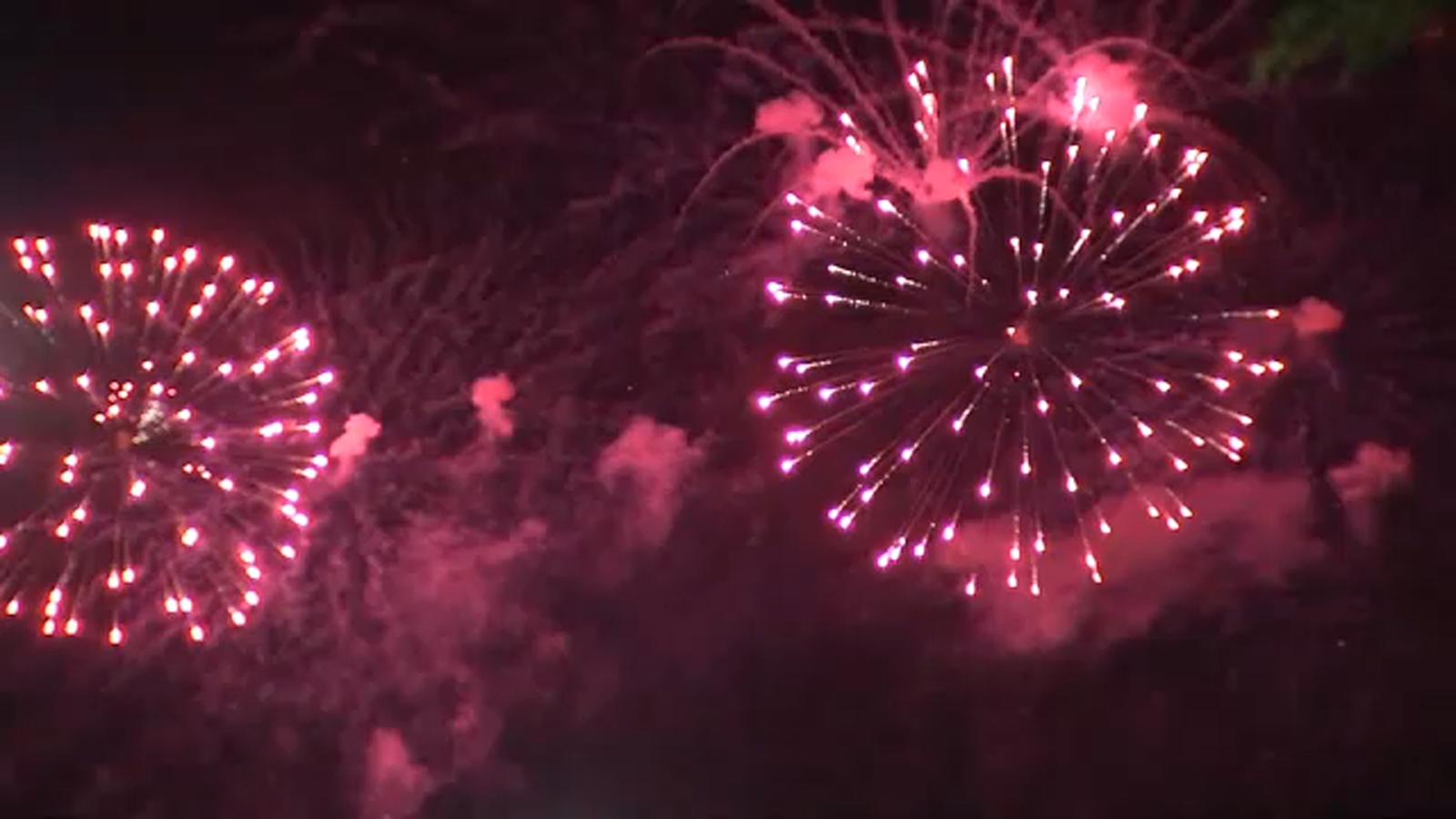 Chicago Valentine's Day events: Navy Pier fireworks, Shedd Aquarium hosts 'Nature's Rage Room'