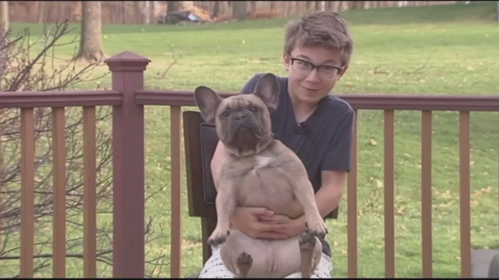 Pa Boy Taught To Do Heimlich Maneuver On Dog Saves Classmate 6abc Philadelphia
