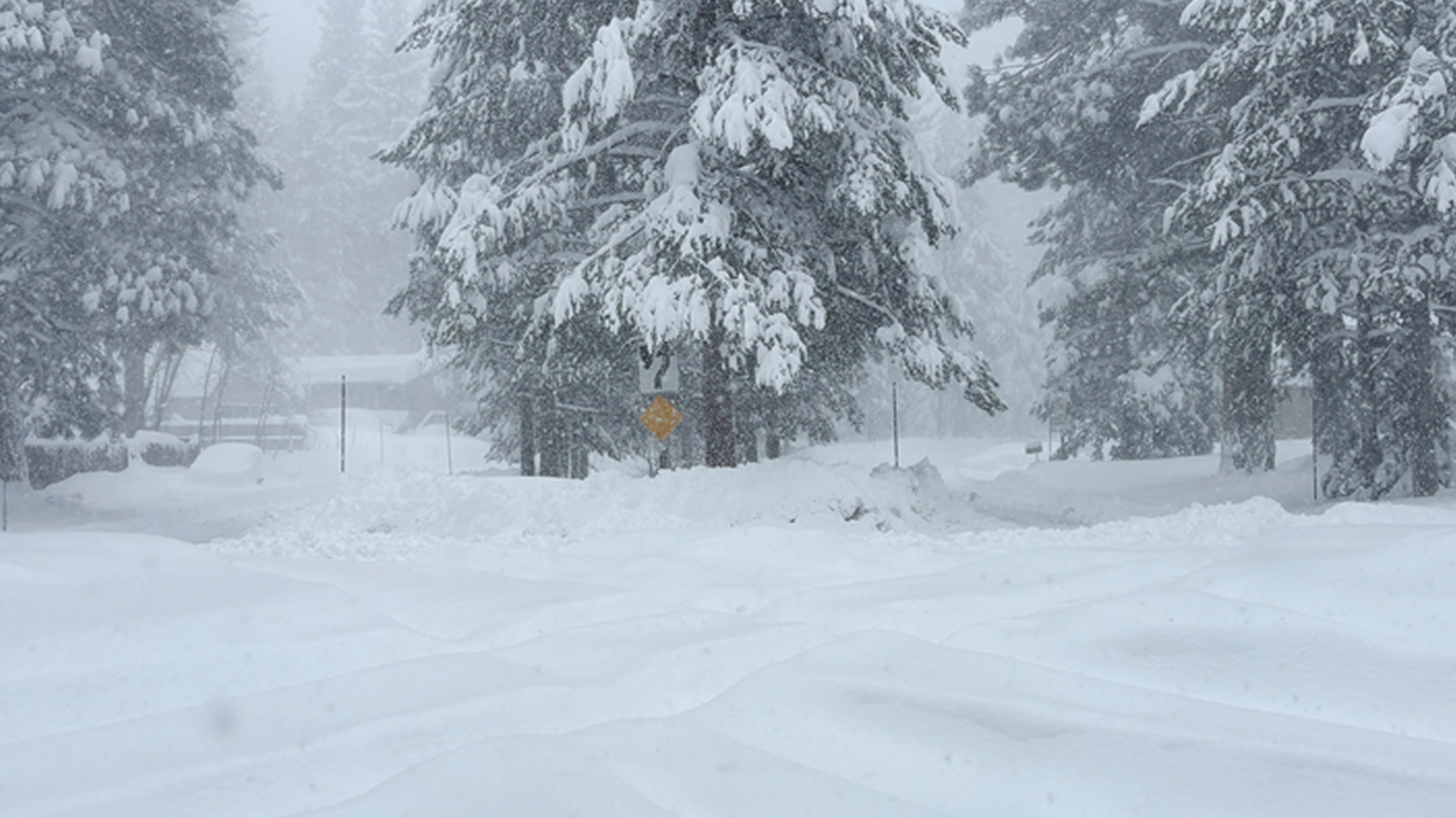 6 backcountry skiers found alive, 10 missing after Donner Pass avalanche in Sierra Nevada: officials