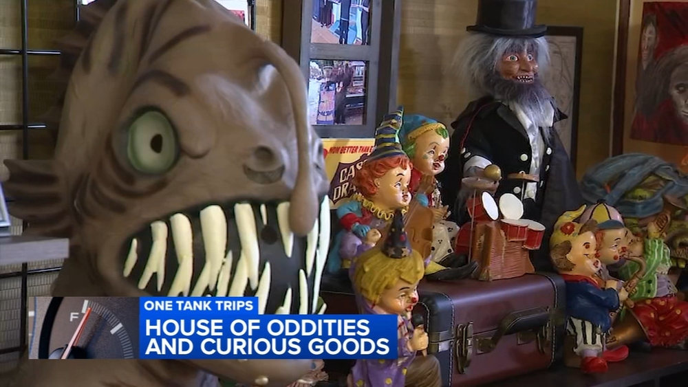 One Tank Trips: The House of Oddities and Curious Goods