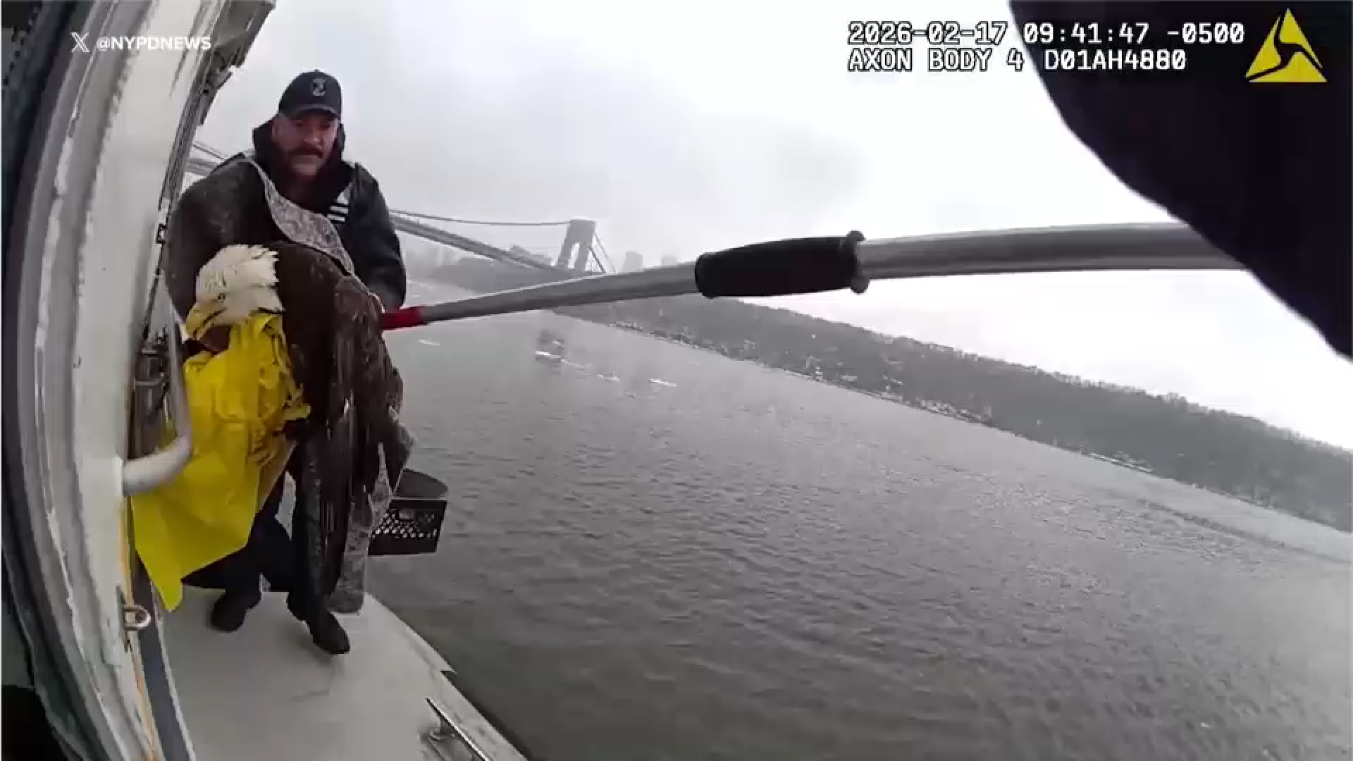 NYPD officers describe unique rescue of eagle from icy Hudson River