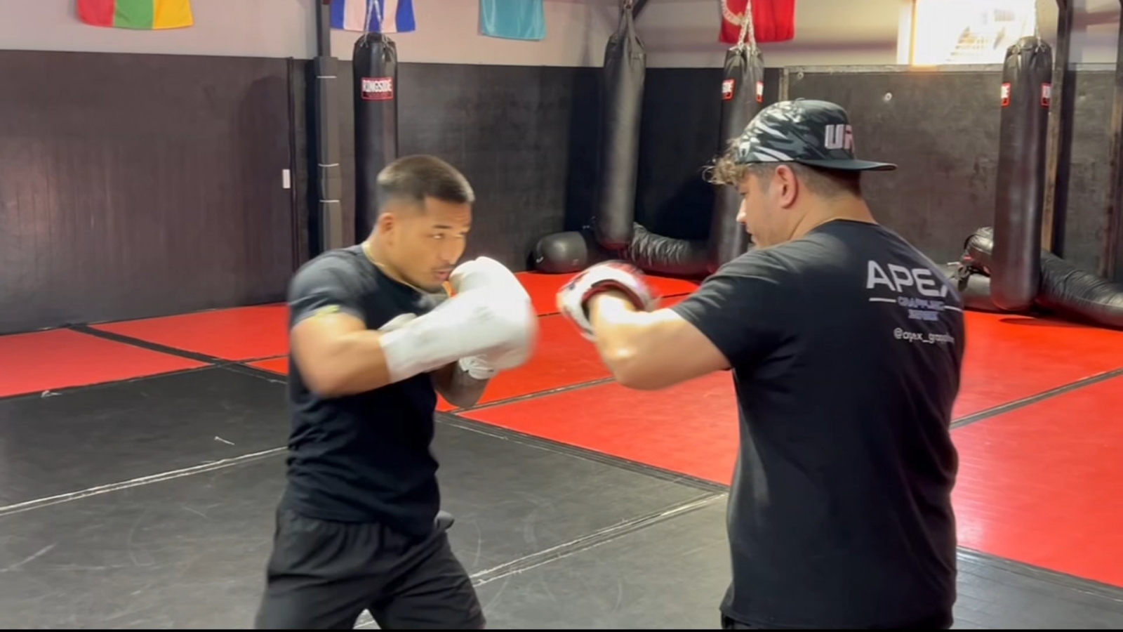 Houston-based UFC fighter reflects on his journey to becoming champion