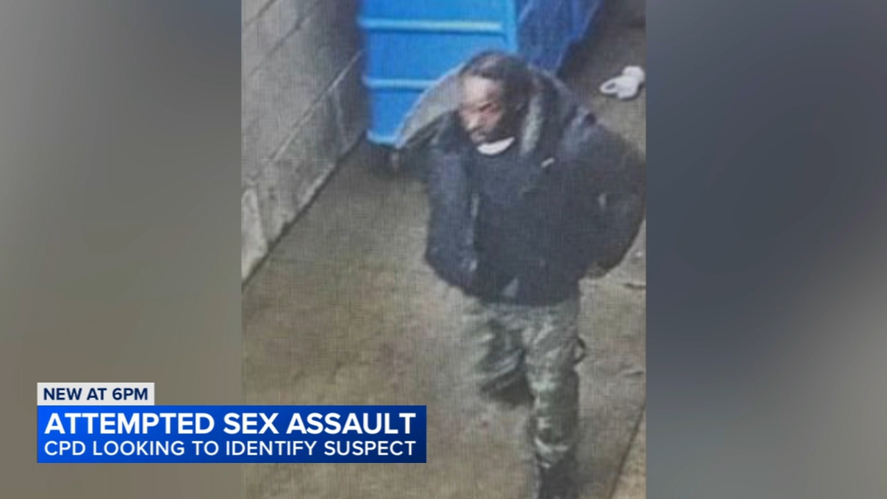 Chicago police are searching for a suspect in an attempted sexual assault Feb. 6 on West North Avenue on the city's Northwest Side.