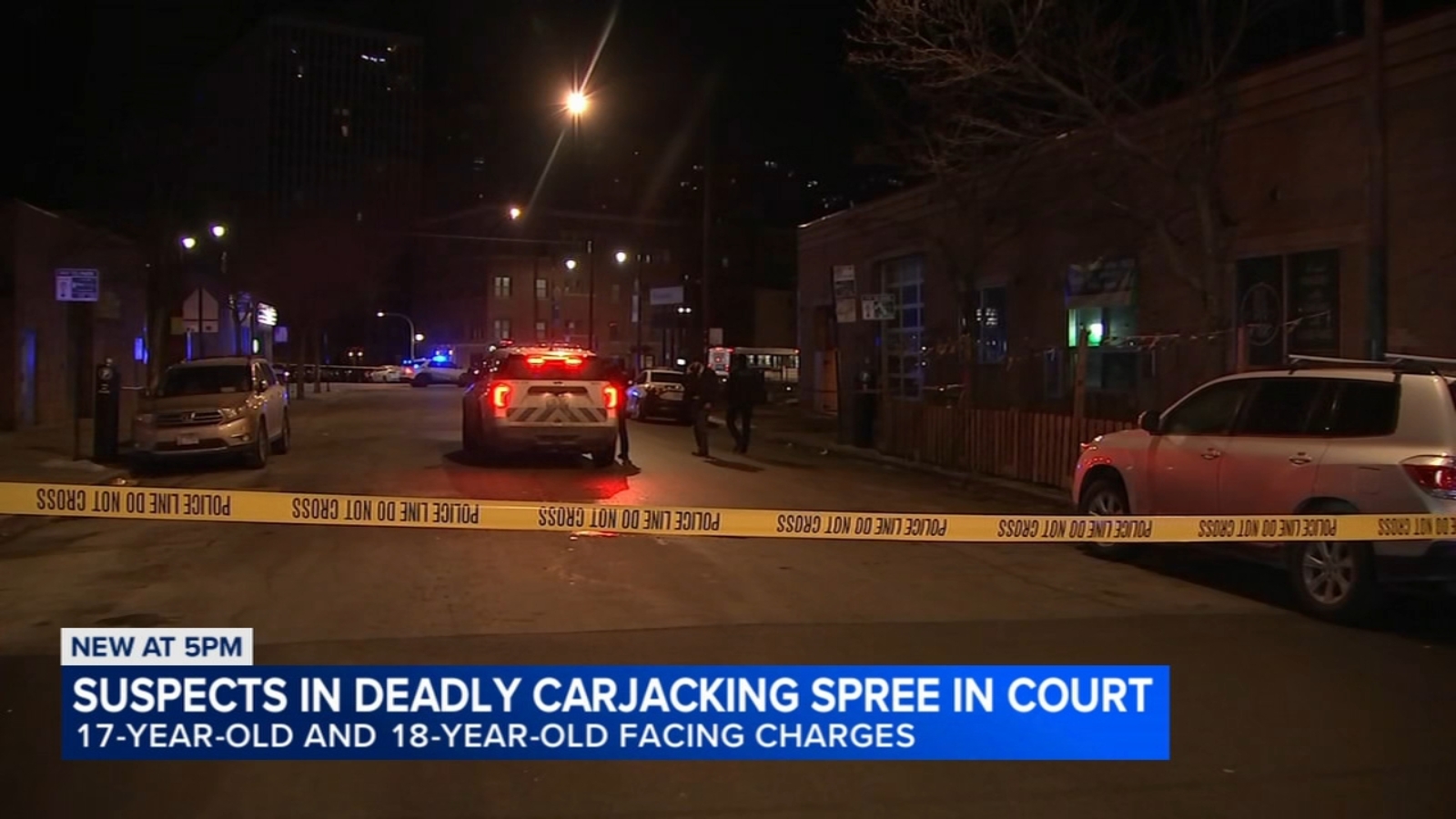 17-year-old, 18-year-old charged in deadly carjacking spree across Chicago ordered held in custody