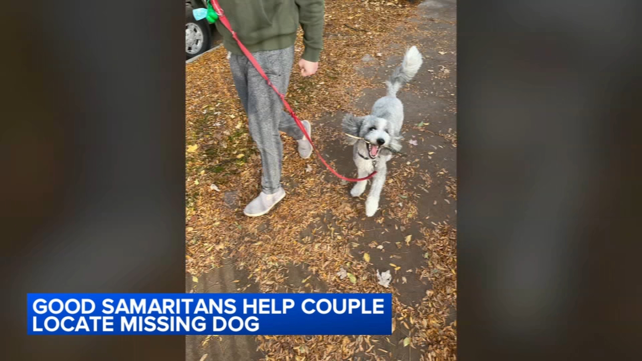 Good Samaritans help reunite dog stolen on North Side with family