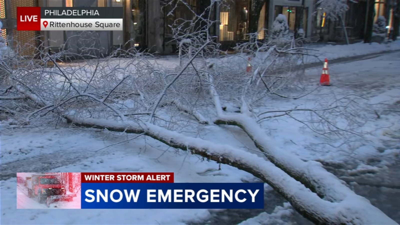 Trees fall from weight of heavy snow, high winds in Philadelphia's Rittenhouse neighborhood