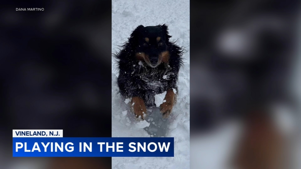 Snow Day Photos: Action News Viewers having fun after storm