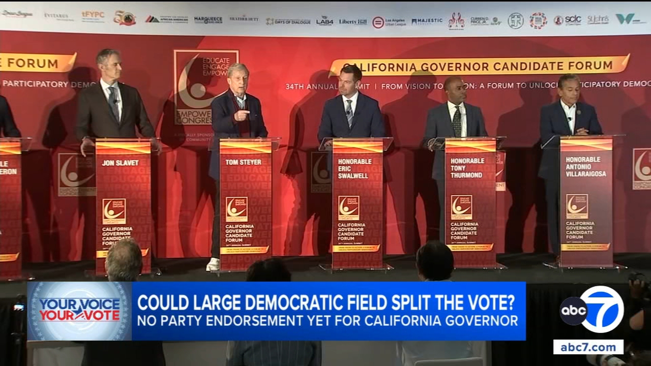 Could crowded field of Democrats in race for California governor split the vote?