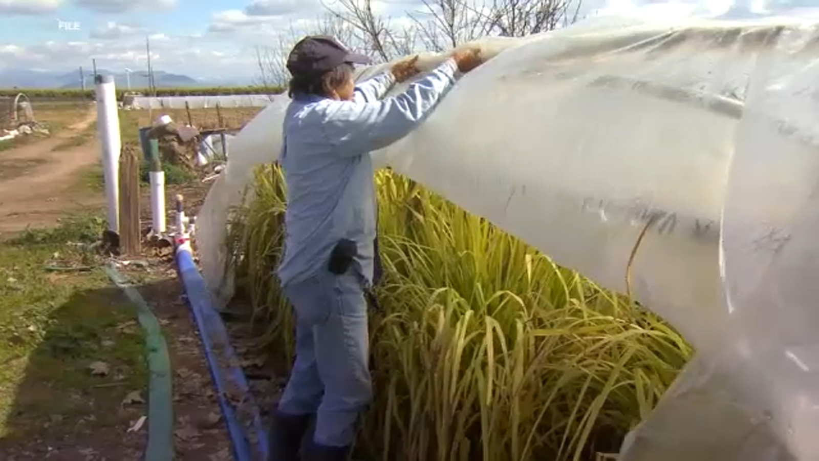 Funding cuts threaten small Central Valley farms as USDA program runs out early