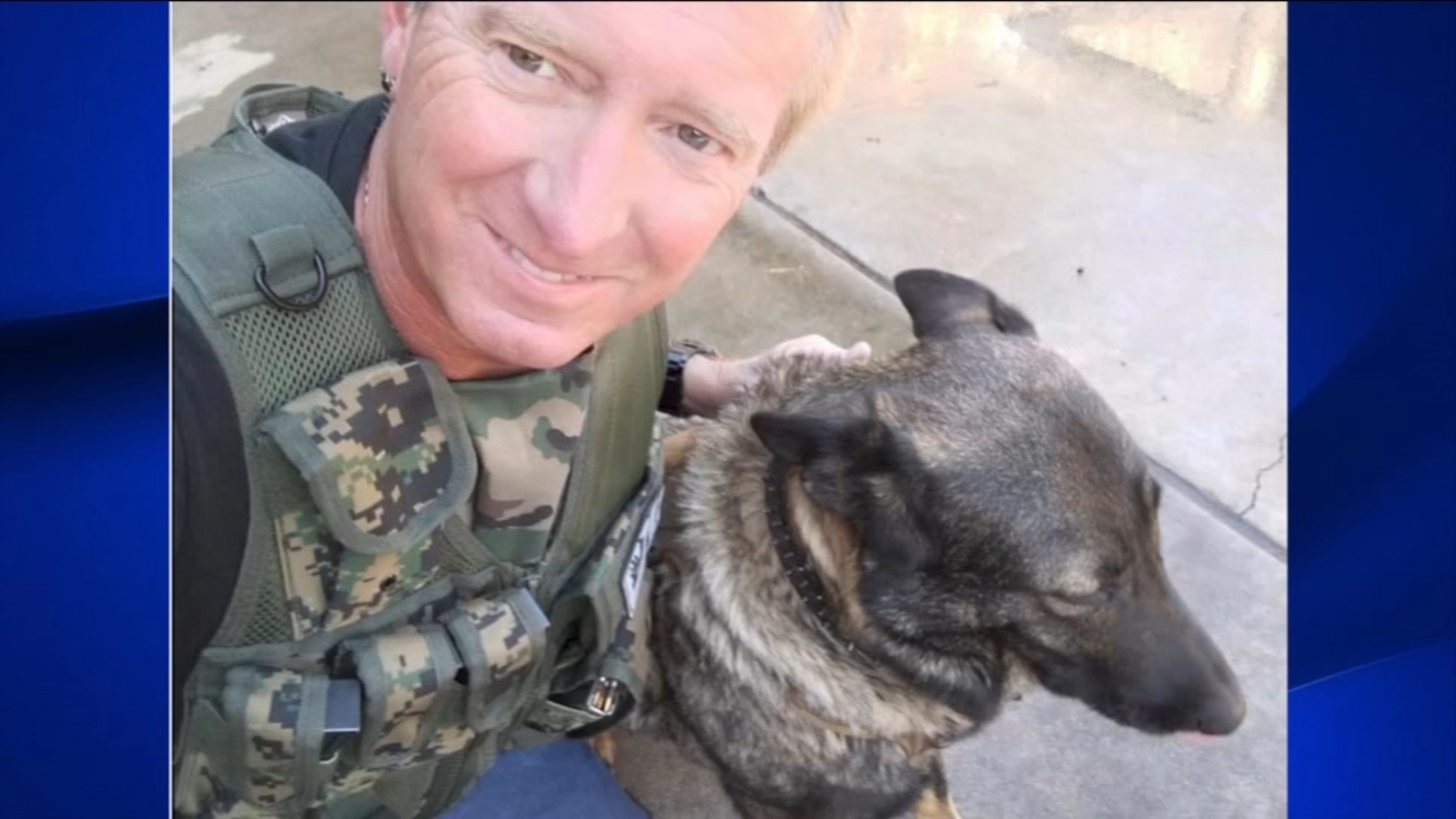 Dog seeks a forever home after veteran owner passes away