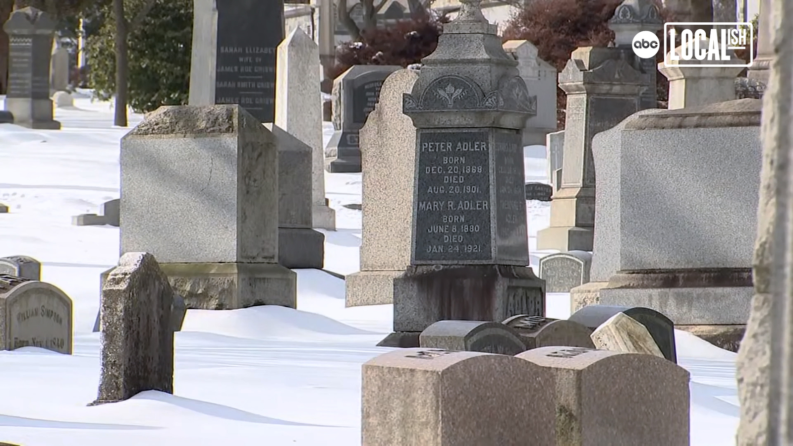 Harlem renaissance history unearthed amid Bronx gravestones