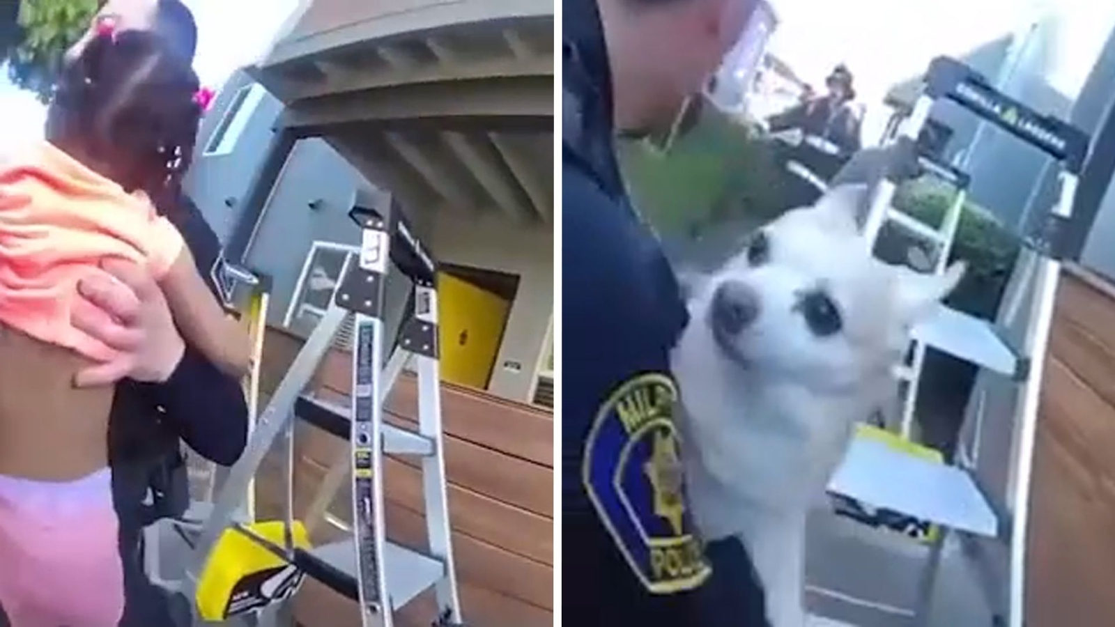 Video shows dramatic rescue of family from Milpitas, California ...