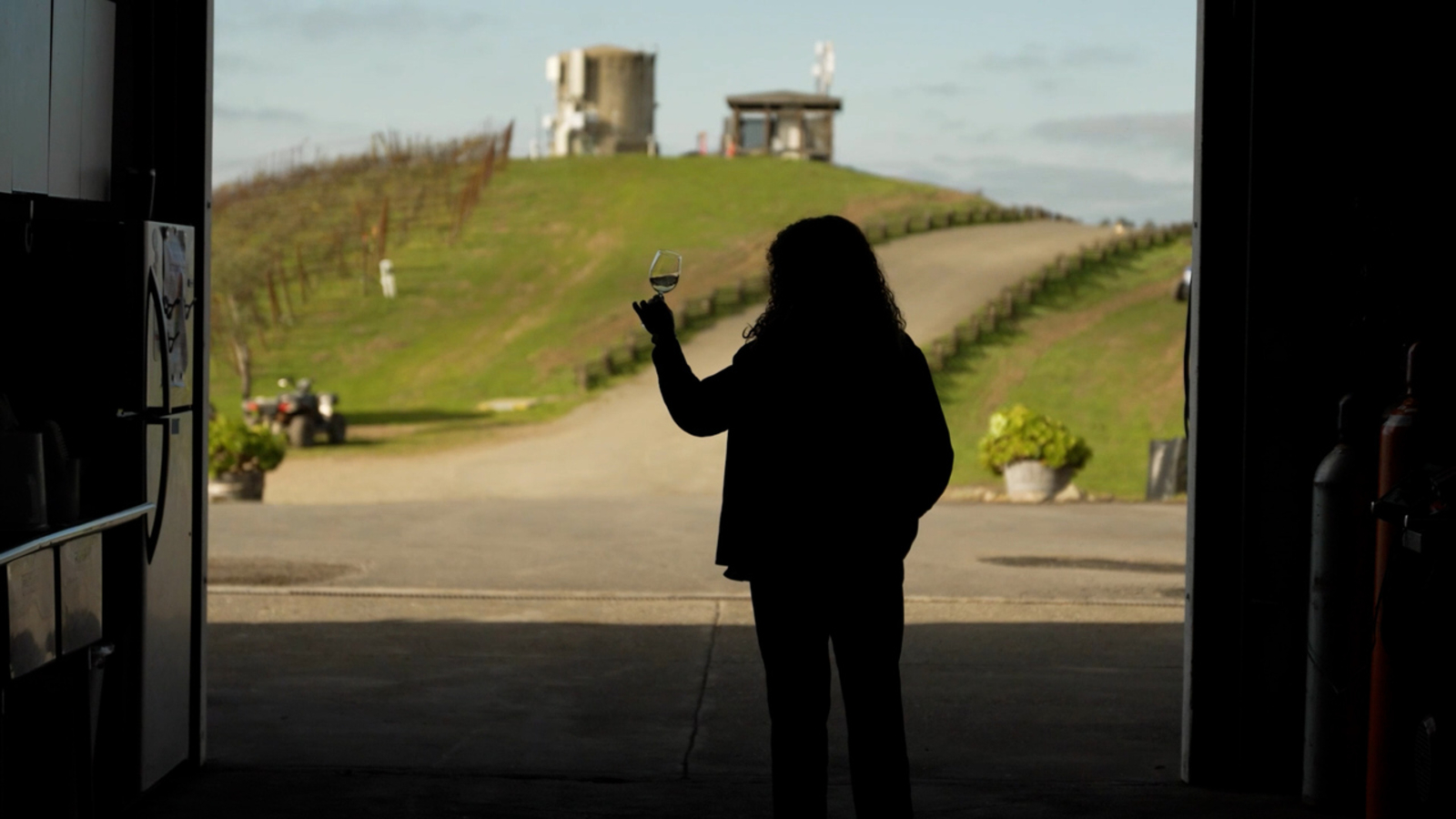 Woman winemaker brings life to small family-owned winery in Sonoma County