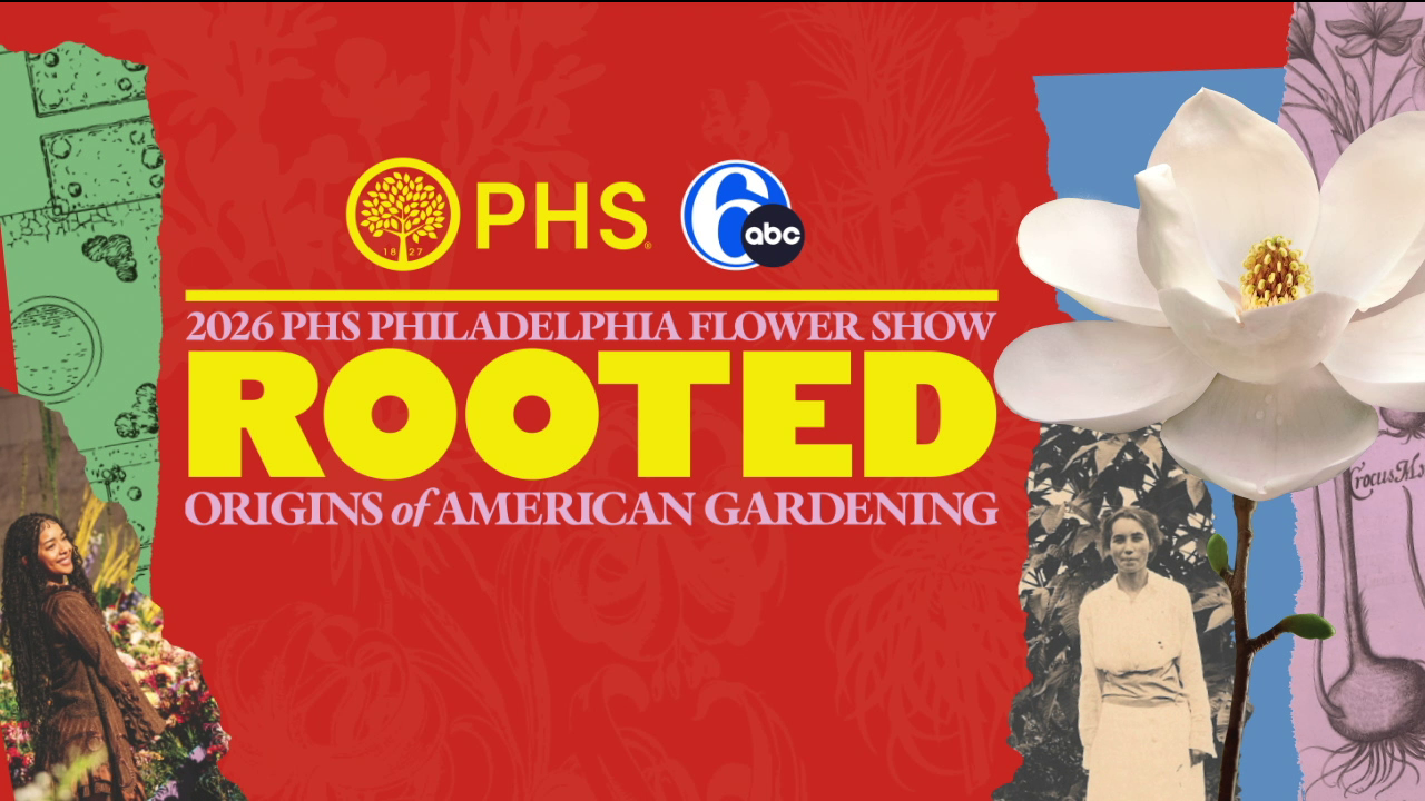 6abc previews the Philadelphia Flower Show | Now open through March 8