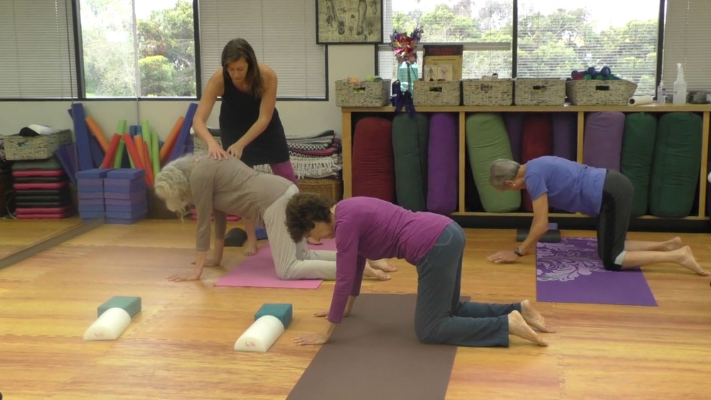 Dynamic aging exercises