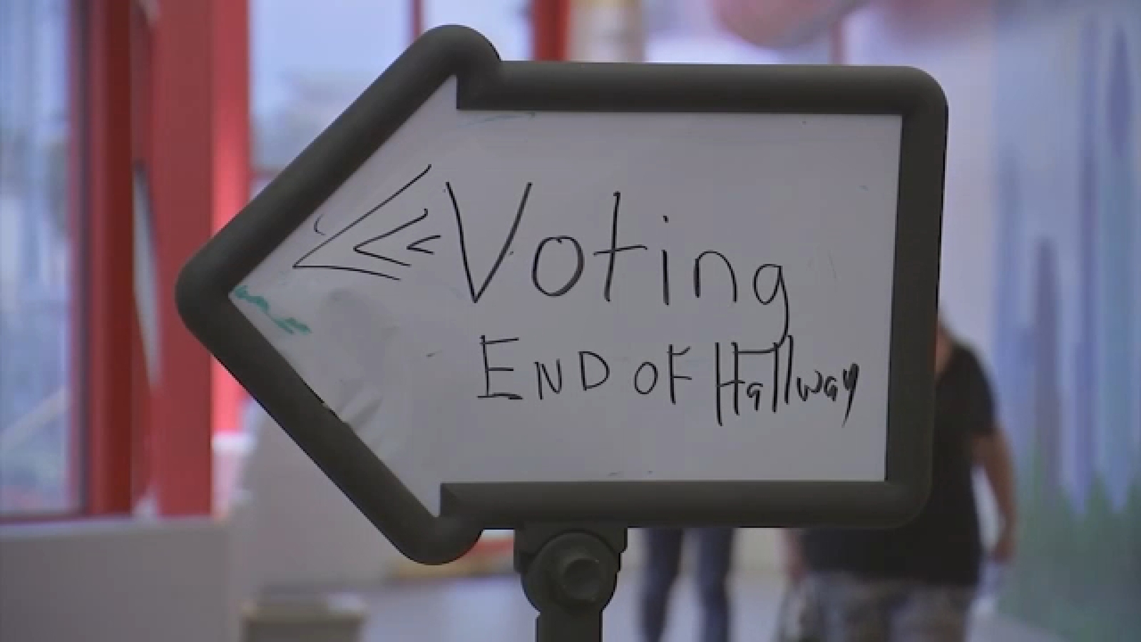 Houston area voters tell ABC13 what's important to them ahead of Primary Day