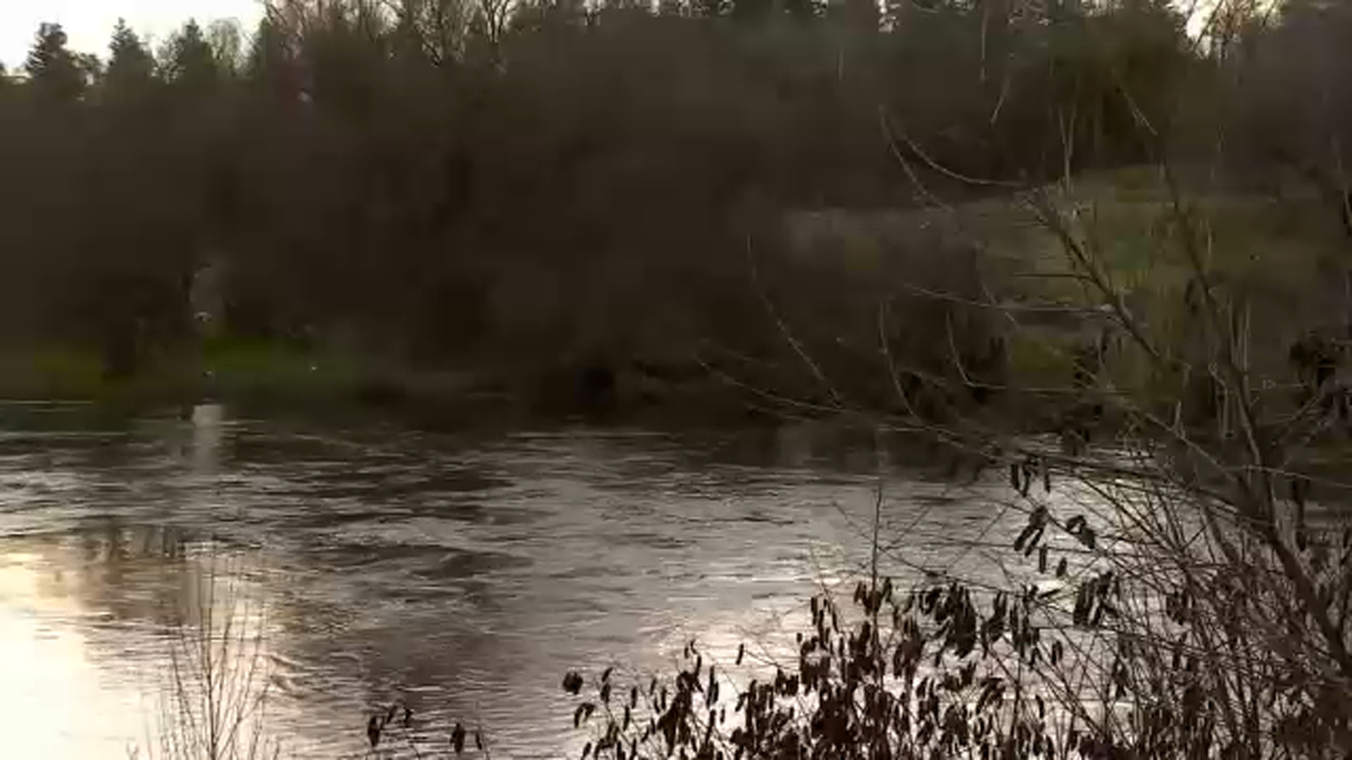 High water levels expected for 2026 as San Joaquin River begins rising