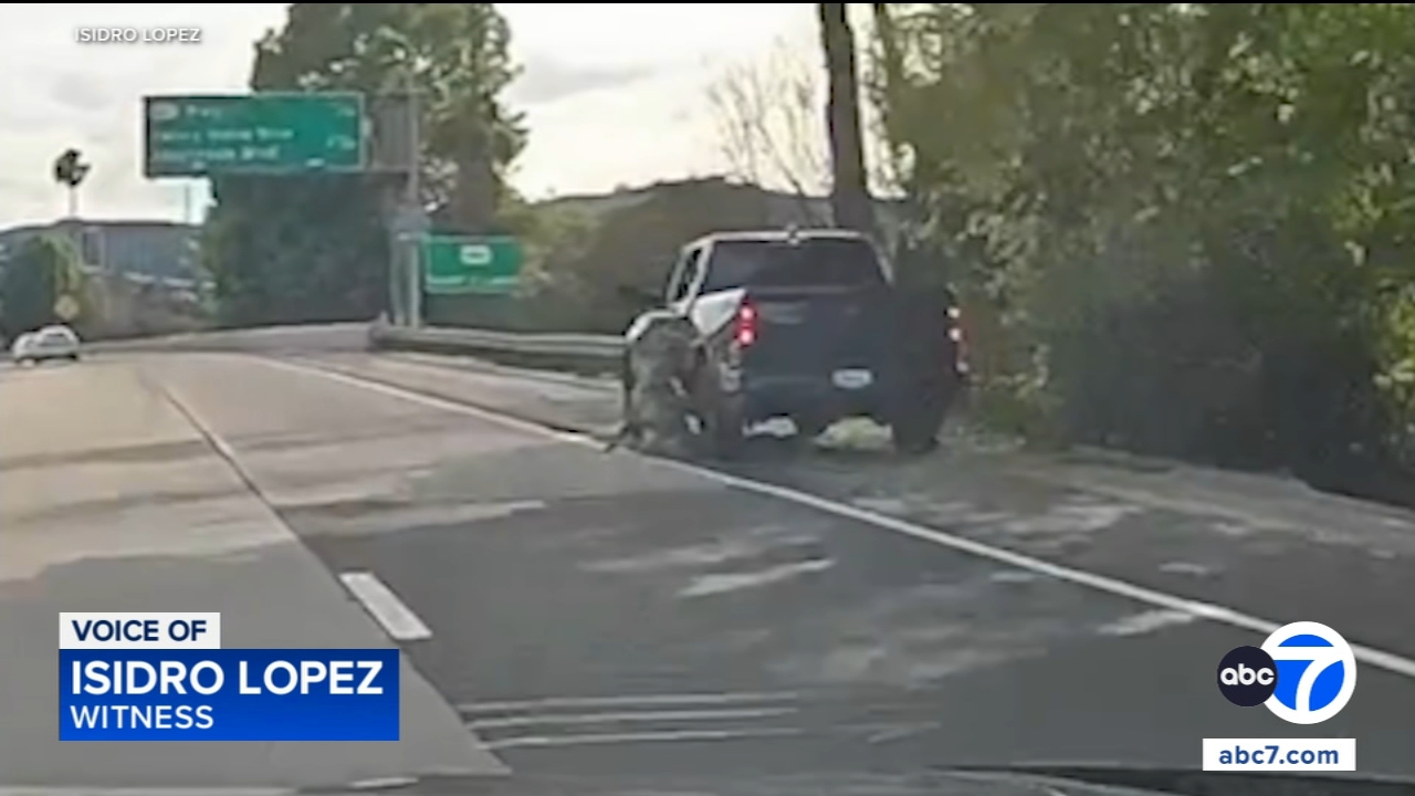 Dog falls out of moving pickup truck on 405 Freeway in Sherman Oaks