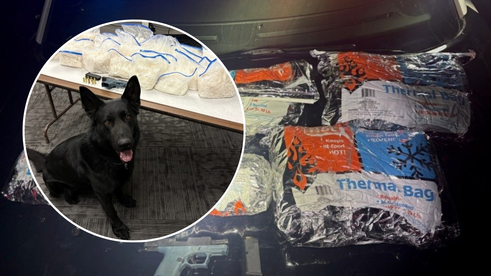 Barstow K-9 Bailey helps officers find over 45 pounds of meth during ...