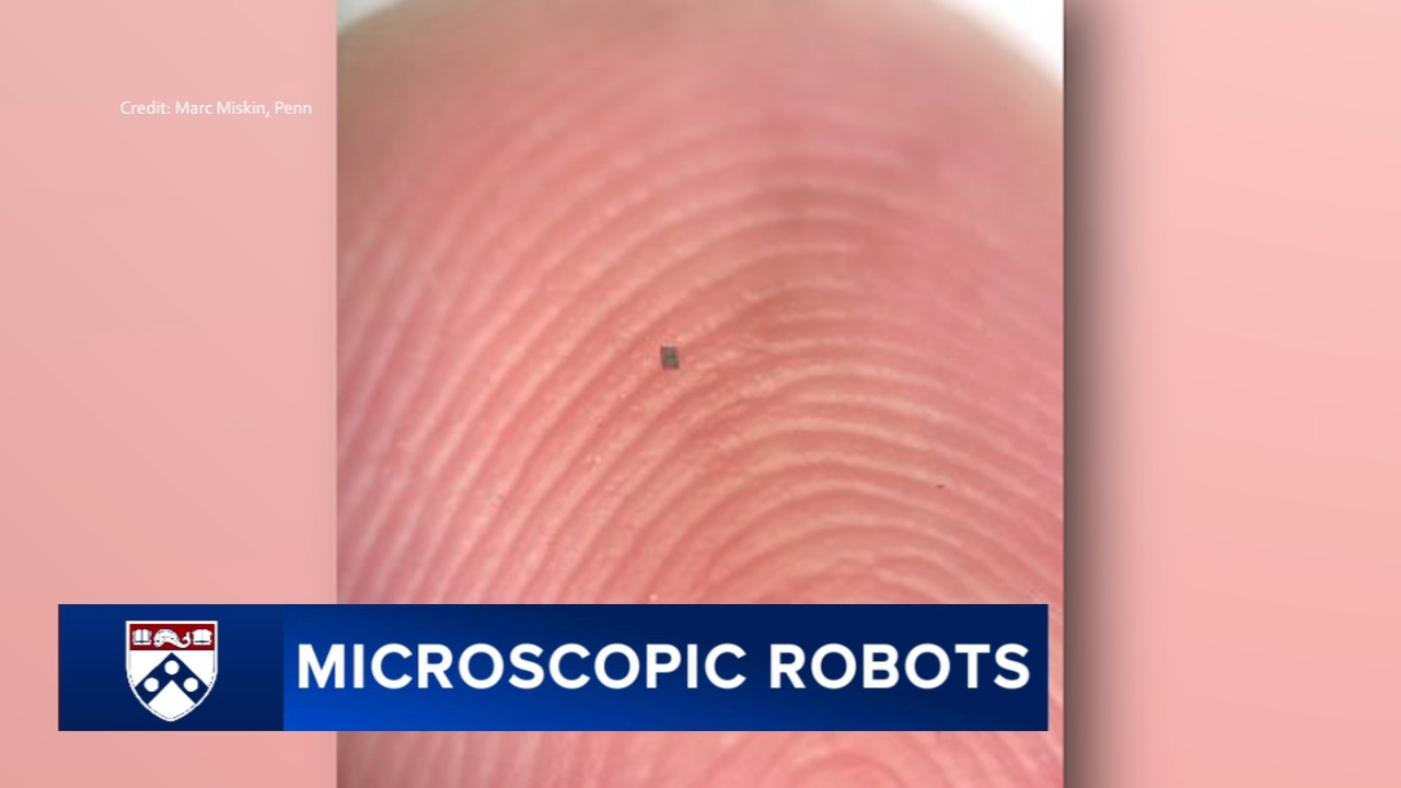 Penn researchers build microscopic robot that could one day transform medicine