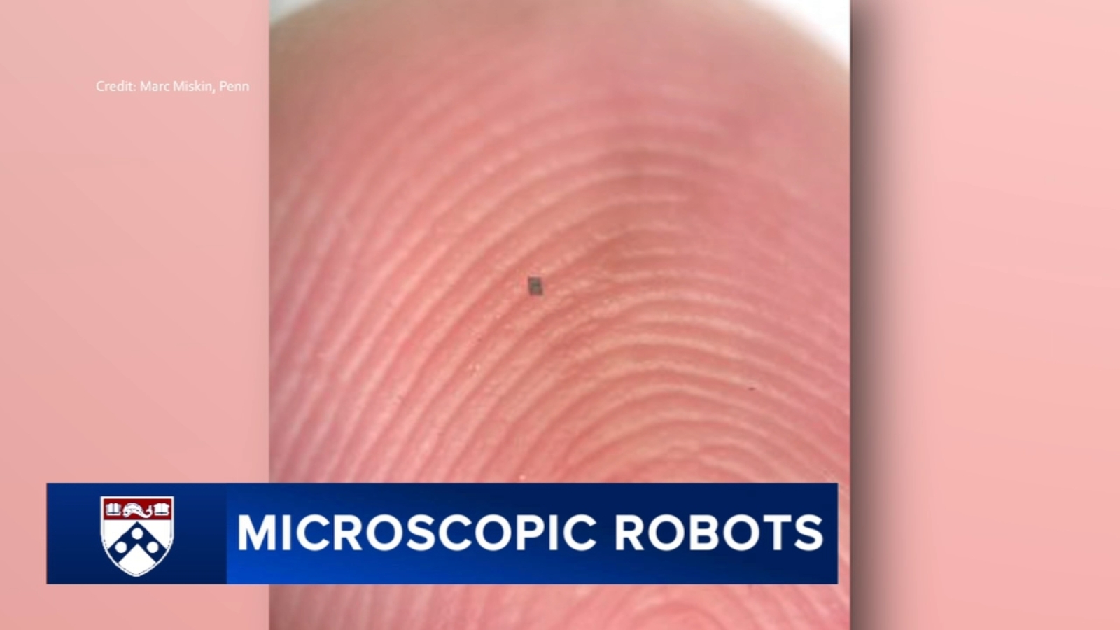 Penn researchers build microscopic robot that could one day transform medicine