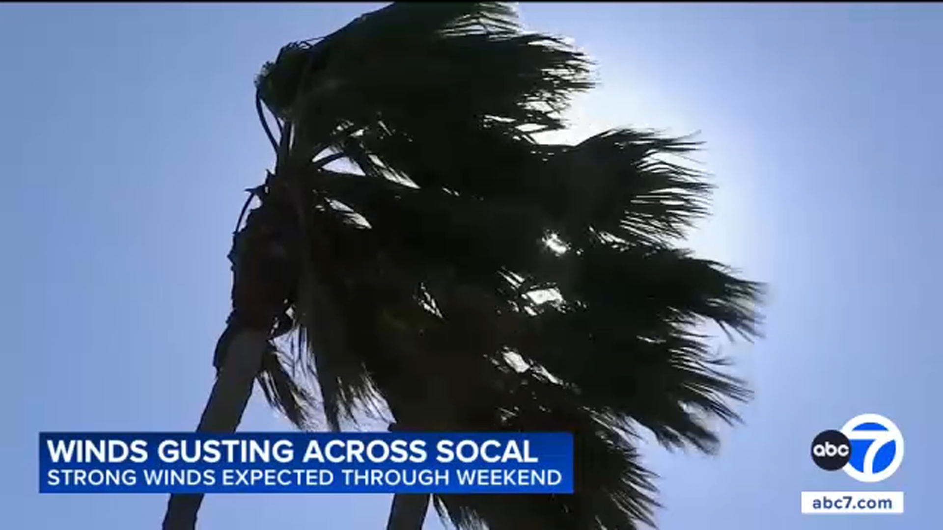 Winds expected to batter SoCal through weekend, threatening to bring down power lines, trees