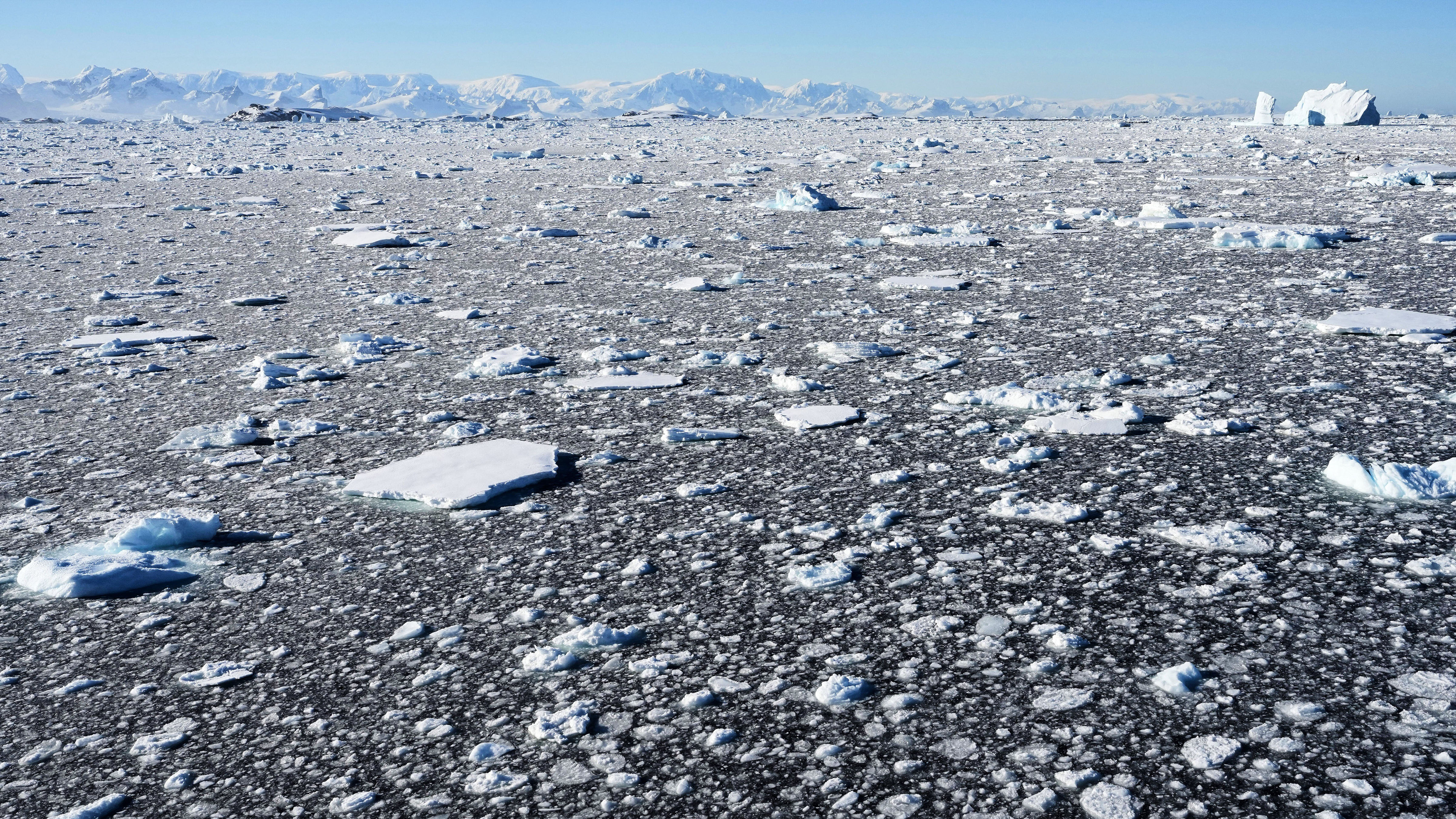 Sea ice covers the ocean at Yalour Islands in Antarctica, Monday, Nov. 24, 2025.