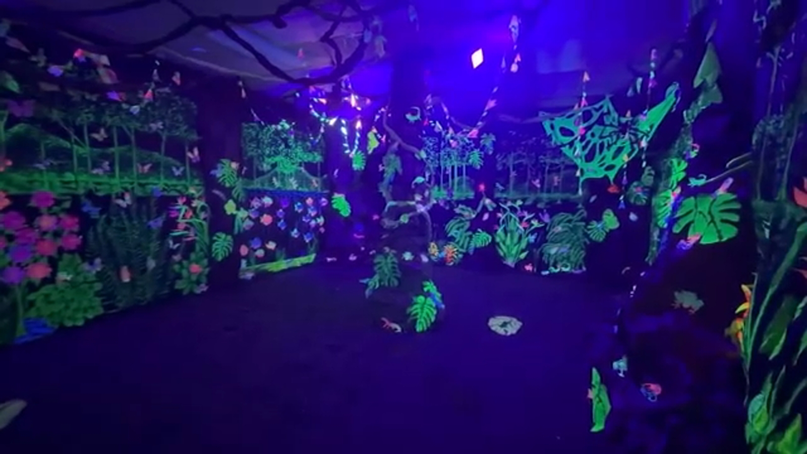 Scandinavian Middle School students create immersive glow-in-the-dark rainforest installation